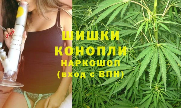 прущий лед Горняк