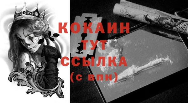 прущий лед Горняк